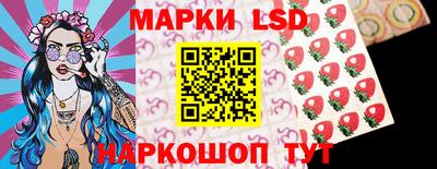 мяу мяу мука Аргун