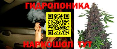 мяу мяу мука Аргун