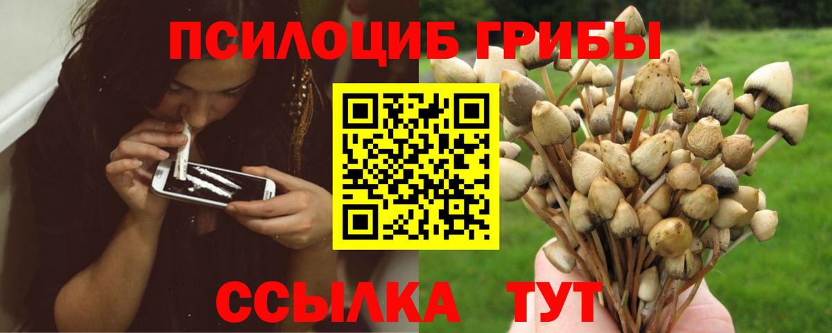 Южноуральск  Галлюциногенные грибы Psilocybe  Вход с VPN 