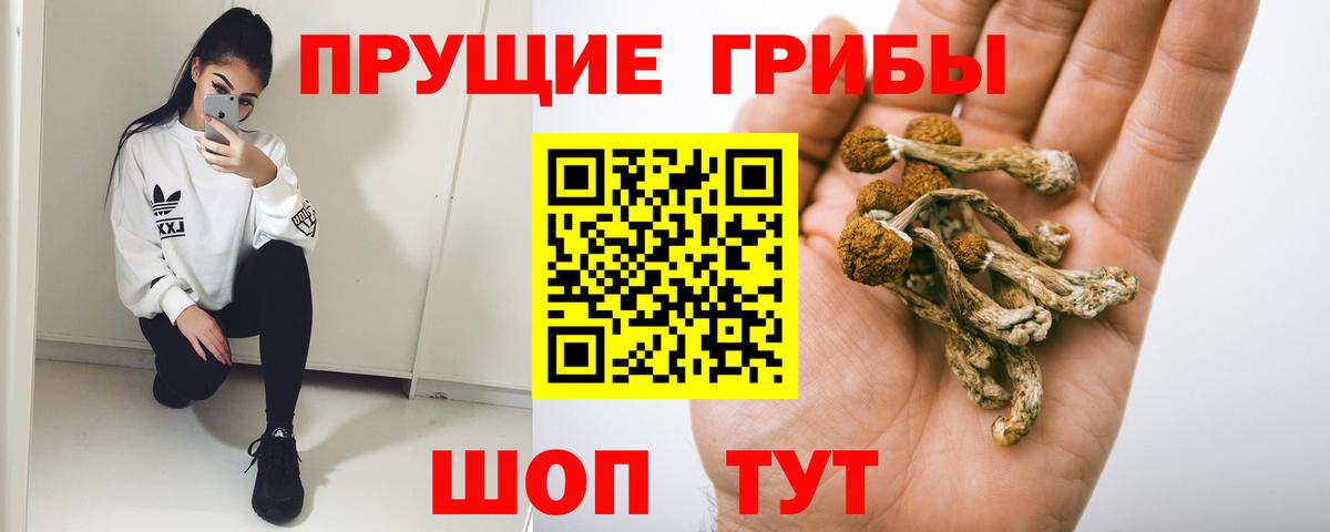 Галлюциногенные грибы мицелий Южноуральск